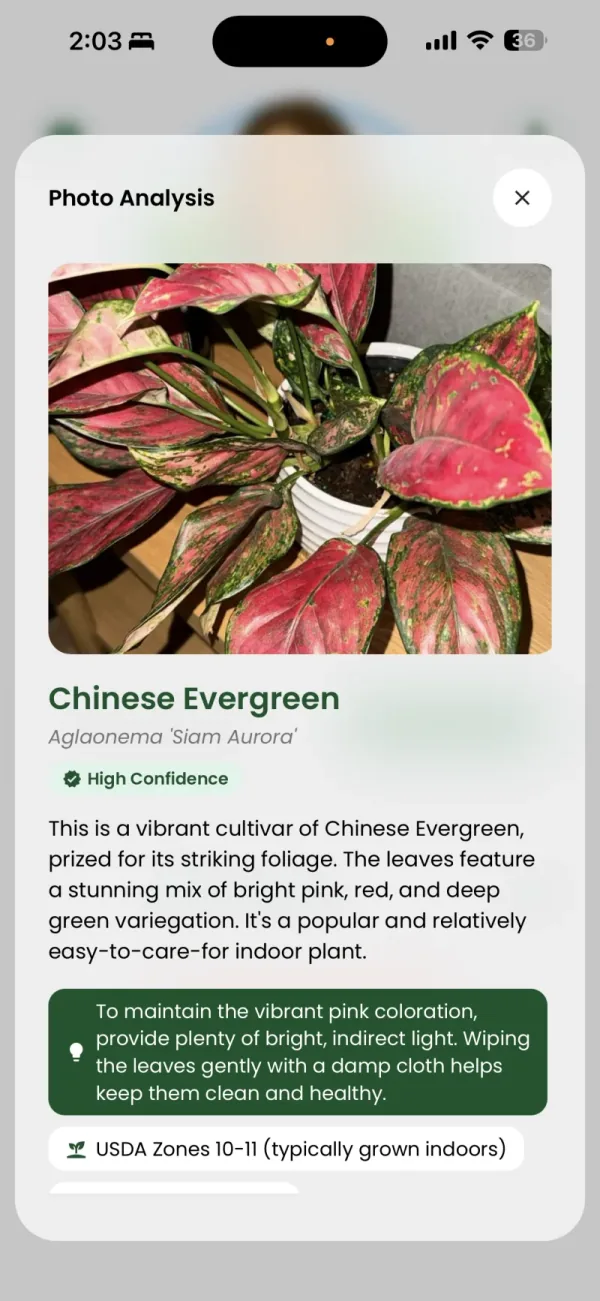 GardenSage™ plant identification screen